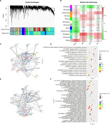 Chicken adaptive response to nutrient density: immune function change revealed by transcriptomic analysis of spleen